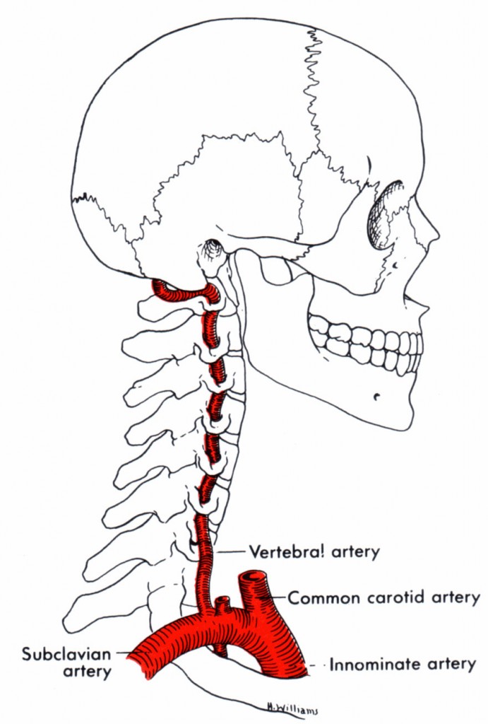 image006 BloodChokes
